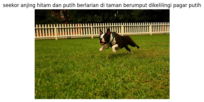 Gambar anjing berlari di taman beserta keterangan referensi dari notebook. Ini contoh dataset, bukan hasil prediksi model.